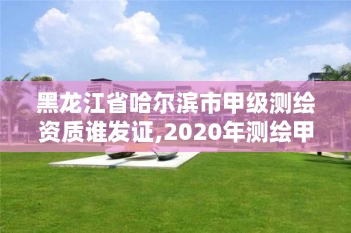 黑龍江省哈爾濱市甲級測繪資質誰發證,2020年測繪甲級資質條件