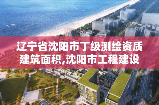 遼寧省沈陽市丁級測繪資質建筑面積,沈陽市工程建設項目測繪技術規程