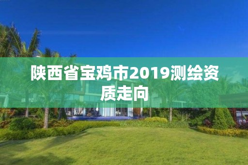 陜西省寶雞市2019測繪資質(zhì)走向