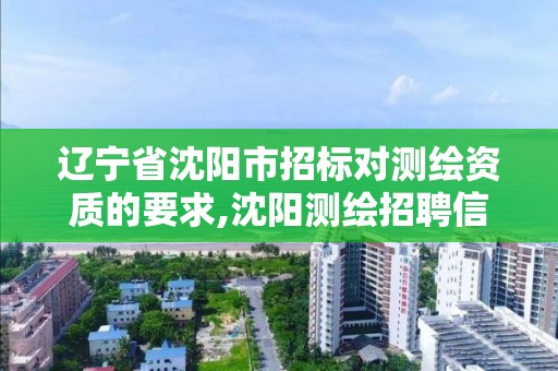 遼寧省沈陽市招標對測繪資質的要求,沈陽測繪招聘信息