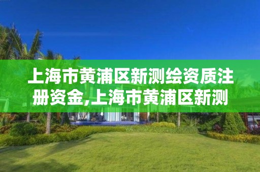 上海市黃浦區新測繪資質注冊資金,上海市黃浦區新測繪資質注冊資金多少錢