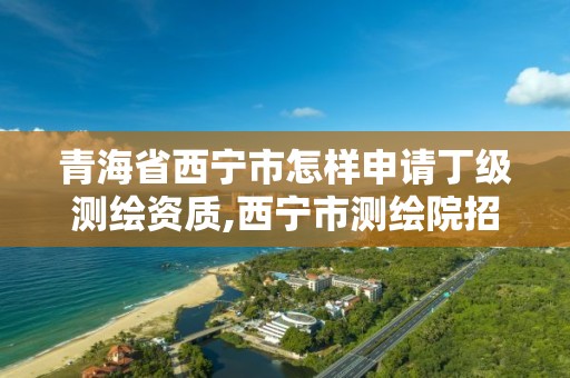 青海省西寧市怎樣申請丁級測繪資質,西寧市測繪院招聘公示