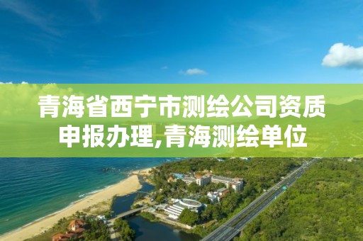 青海省西寧市測繪公司資質申報辦理,青海測繪單位