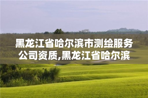 黑龍江省哈爾濱市測繪服務公司資質,黑龍江省哈爾濱市測繪局