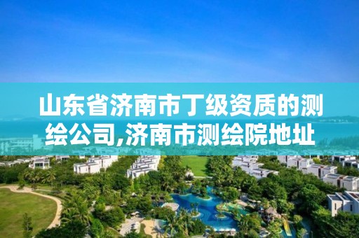 山東省濟南市丁級資質的測繪公司,濟南市測繪院地址