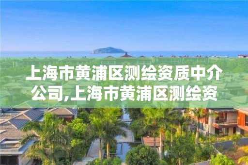 上海市黃浦區(qū)測繪資質(zhì)中介公司,上海市黃浦區(qū)測繪資質(zhì)中介公司有哪些