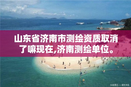 山東省濟南市測繪資質取消了嘛現在,濟南測繪單位。