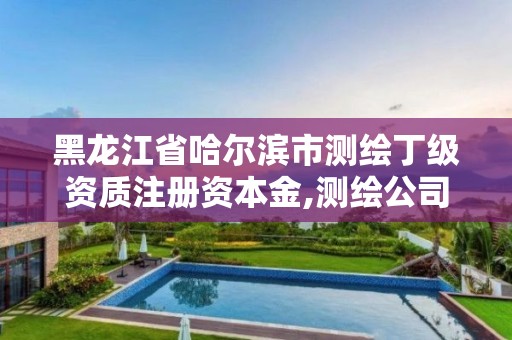 黑龍江省哈爾濱市測繪丁級資質(zhì)注冊資本金,測繪公司丁級資質(zhì)。