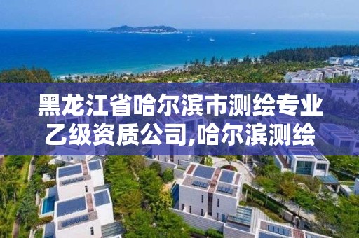 黑龍江省哈爾濱市測繪專業乙級資質公司,哈爾濱測繪?？茖W校