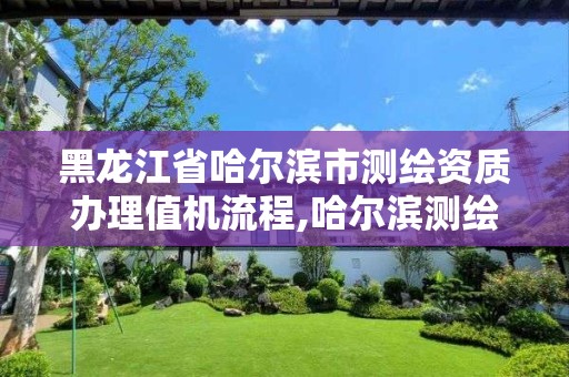 黑龍江省哈爾濱市測繪資質辦理值機流程,哈爾濱測繪局幼兒園是民辦還是公辦