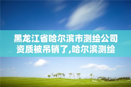 黑龍江省哈爾濱市測繪公司資質被吊銷了,哈爾濱測繪公司招聘