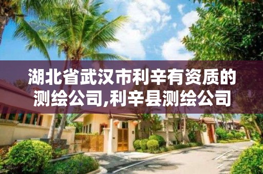 湖北省武漢市利辛有資質(zhì)的測繪公司,利辛縣測繪公司。