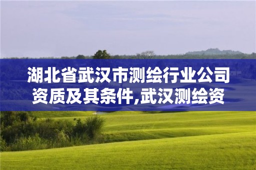 湖北省武漢市測(cè)繪行業(yè)公司資質(zhì)及其條件,武漢測(cè)繪資質(zhì)代辦。