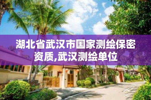 湖北省武漢市國家測繪保密資質,武漢測繪單位