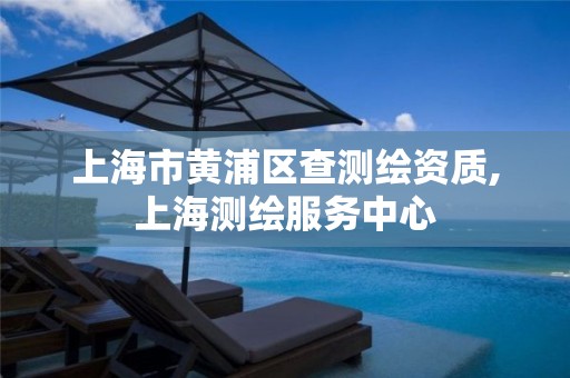 上海市黃浦區查測繪資質,上海測繪服務中心