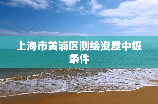 上海市黃浦區測繪資質中級條件