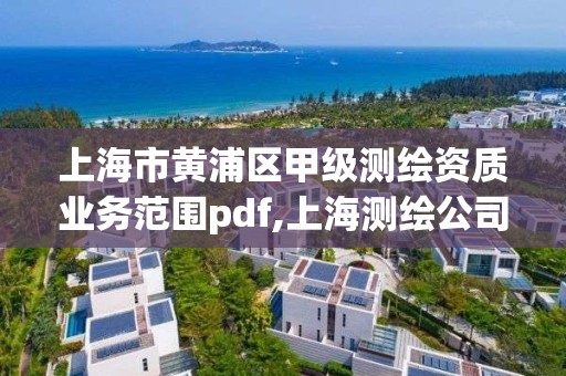 上海市黃浦區甲級測繪資質業務范圍pdf,上海測繪公司排名名單。