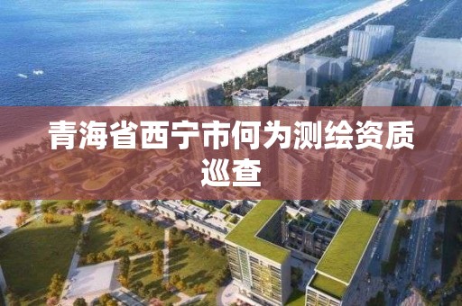 青海省西寧市何為測繪資質巡查