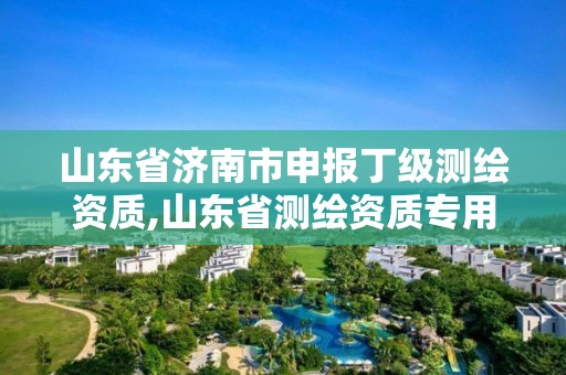 山東省濟南市申報丁級測繪資質(zhì),山東省測繪資質(zhì)專用章 丁級