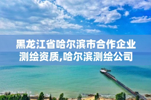 黑龍江省哈爾濱市合作企業測繪資質,哈爾濱測繪公司招聘