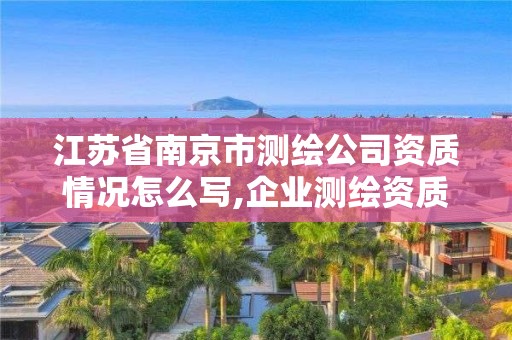 江蘇省南京市測(cè)繪公司資質(zhì)情況怎么寫,企業(yè)測(cè)繪資質(zhì)