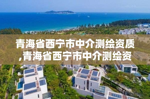 青海省西寧市中介測繪資質(zhì),青海省西寧市中介測繪資質(zhì)公司