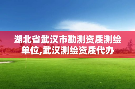 湖北省武漢市勘測資質測繪單位,武漢測繪資質代辦