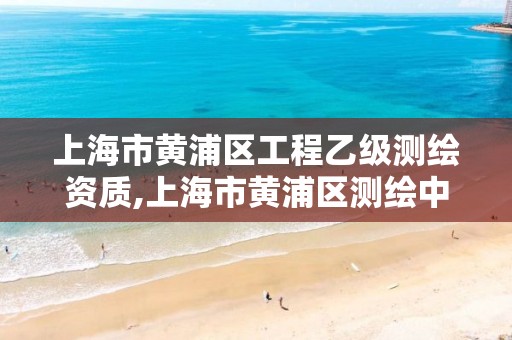 上海市黃浦區工程乙級測繪資質,上海市黃浦區測繪中心