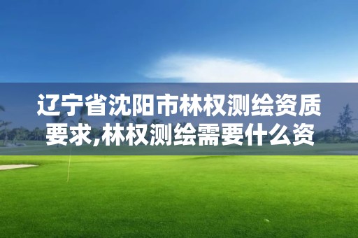 遼寧省沈陽市林權測繪資質要求,林權測繪需要什么資質