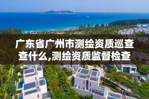 廣東省廣州市測繪資質巡查查什么,測繪資質監督檢查辦法