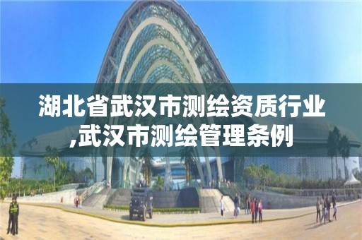 湖北省武漢市測繪資質行業,武漢市測繪管理條例