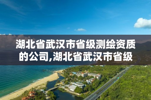 湖北省武漢市省級測繪資質的公司,湖北省武漢市省級測繪資質的公司有幾家