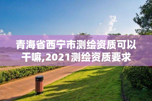 青海省西寧市測繪資質可以干嘛,2021測繪資質要求