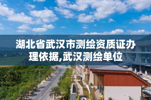 湖北省武漢市測繪資質(zhì)證辦理依據(jù),武漢測繪單位