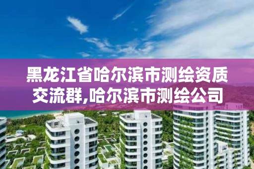 黑龍江省哈爾濱市測繪資質交流群,哈爾濱市測繪公司