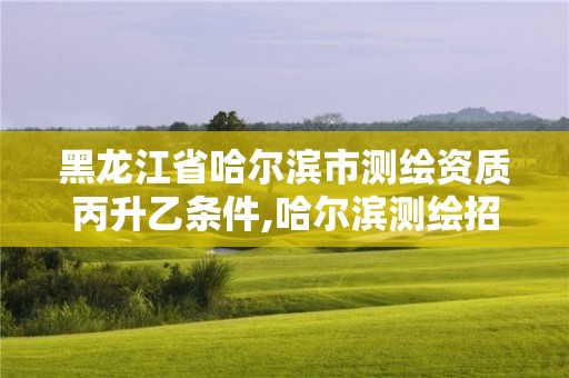 黑龍江省哈爾濱市測繪資質丙升乙條件,哈爾濱測繪招聘