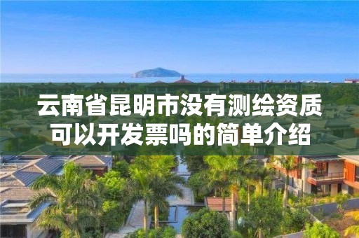 云南省昆明市沒有測繪資質可以開發票嗎的簡單介紹