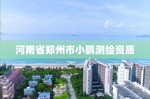 河南省鄭州市小鵬測繪資質