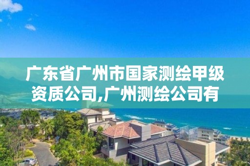 廣東省廣州市國家測繪甲級資質公司,廣州測繪公司有哪些