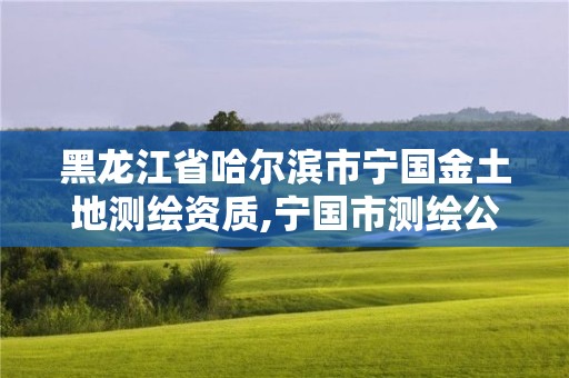 黑龍江省哈爾濱市寧國金土地測繪資質,寧國市測繪公司有哪些