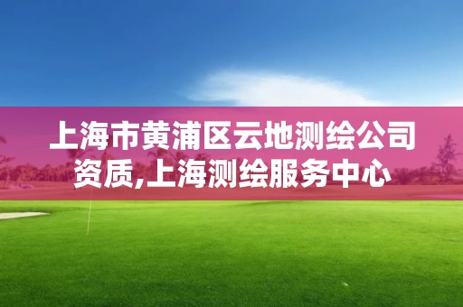 上海市黃浦區云地測繪公司資質,上海測繪服務中心