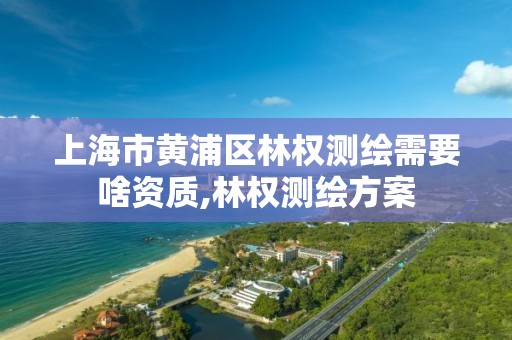 上海市黃浦區林權測繪需要啥資質,林權測繪方案