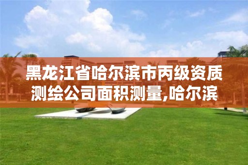 黑龍江省哈爾濱市丙級資質測繪公司面積測量,哈爾濱測繪局是干什么的