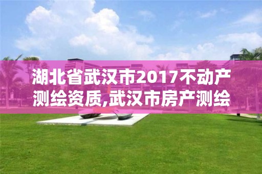 湖北省武漢市2017不動產(chǎn)測繪資質(zhì),武漢市房產(chǎn)測繪。