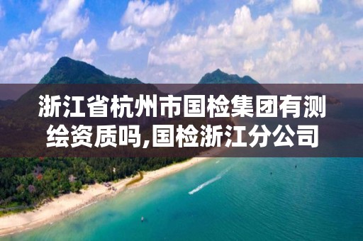 浙江省杭州市國檢集團(tuán)有測繪資質(zhì)嗎,國檢浙江分公司。