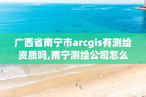 廣西省南寧市arcgis有測繪資質(zhì)嗎,南寧測繪公司怎么收費標準