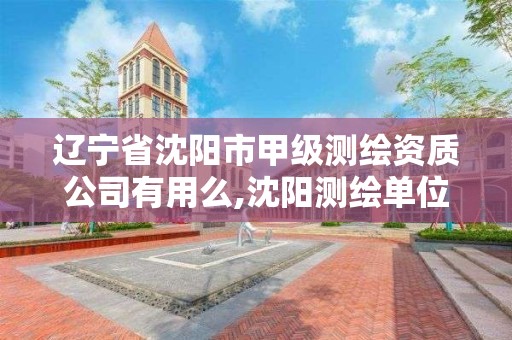 遼寧省沈陽市甲級測繪資質公司有用么,沈陽測繪單位招聘