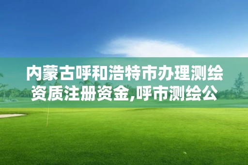 內蒙古呼和浩特市辦理測繪資質注冊資金,呼市測繪公司。