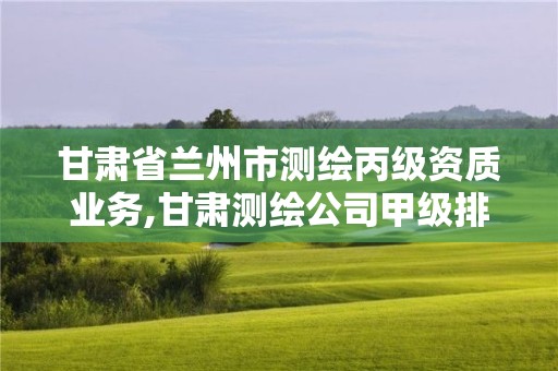 甘肅省蘭州市測繪丙級資質業務,甘肅測繪公司甲級排名