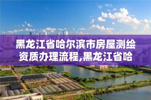 黑龍江省哈爾濱市房屋測繪資質辦理流程,黑龍江省哈爾濱市測繪局